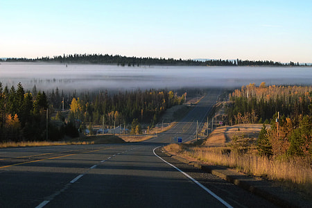 landscape photo of raod thumbnail