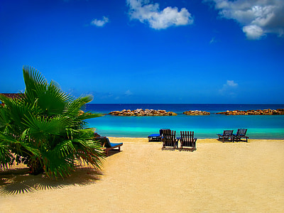 green palm tree near four black wooden lounge chairs and sea at daytime thumbnail