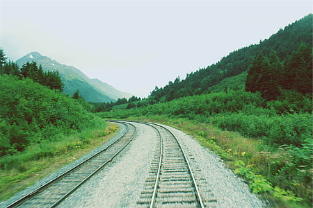 railway surrounded by plants and trees under cloudy skies thumbnail