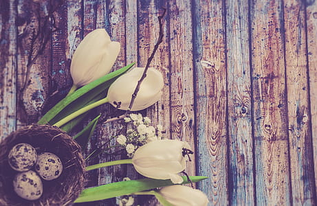 white flowers beside nest thumbnail