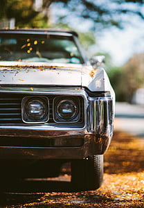 selective focus photography of white vehicle on road near trees thumbnail