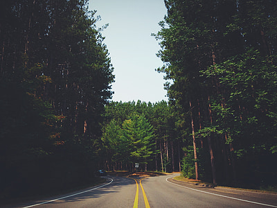 road near trees during daytime thumbnail