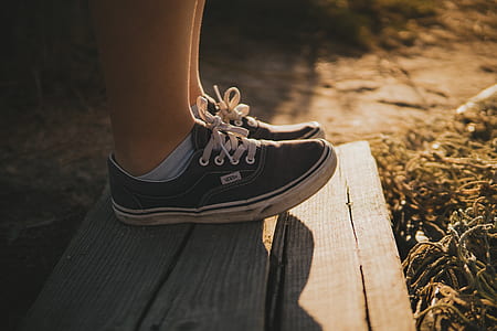person wearing black Vans low-top sneakers thumbnail