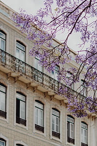 Lisbon Architecture, Portugal thumbnail