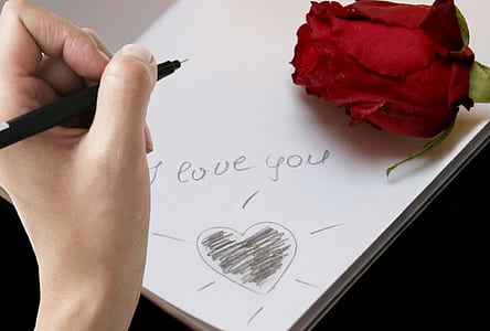 i love you text written on white paper with red rose thumbnail