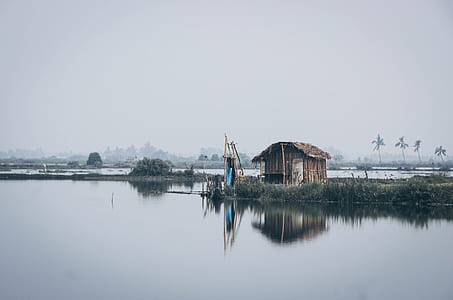 brown house near body of water in distant of palm trees thumbnail