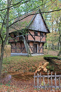 brown house near tree thumbnail