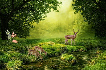 fairy playing float near lake with deer digital wallpaper thumbnail