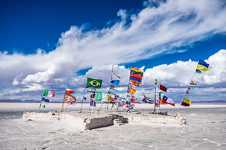 assorted-color flag on ground thumbnail