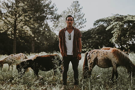 man standing beside white horse near trees thumbnail
