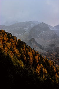 landscape photo of brown mountain thumbnail