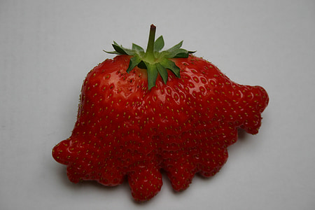 strawberry fruirt thumbnail