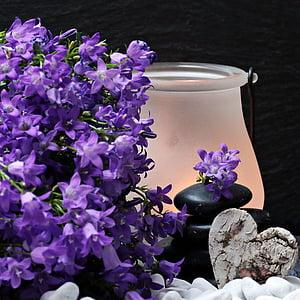purple petaled flower beside black stone near frosted glass candle holder thumbnail