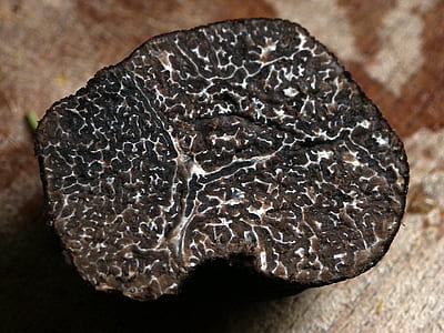 photo of black and brown case thumbnail