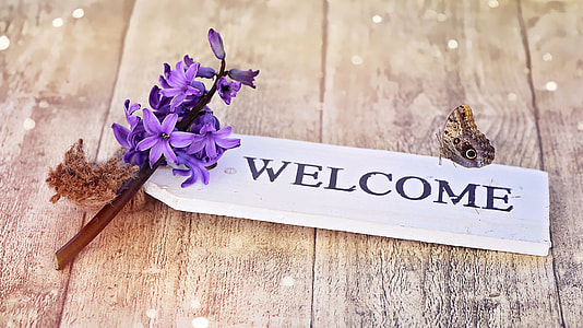 owl butterfly on welcome text signboard thumbnail