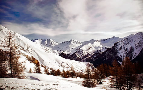 snow mountain and brow trees thumbnail