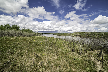 Upstream landscape on the Saskatchewan River thumbnail