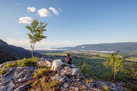 man sitting on boulder near tree thumbnail