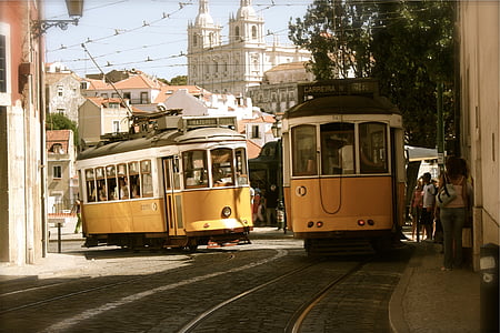 two yellow buses on street thumbnail