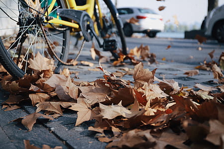 yellow fix gear bike with brown dried leaves thumbnail