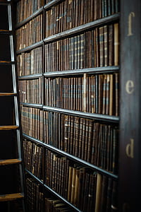 assorted books in book shelf in tilt shift photography thumbnail
