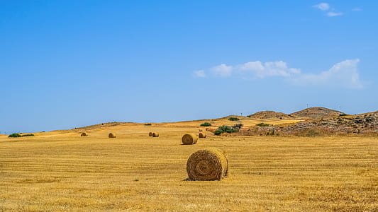 haystack on ground thumbnail
