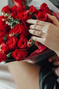Person Holding Bouquet Of Red Roses thumbnail