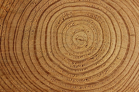 brown desert thumbnail
