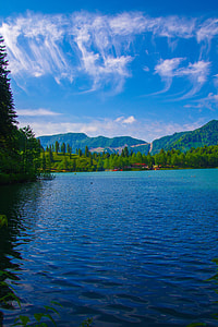 body of water near the green tress at daytime thumbnail