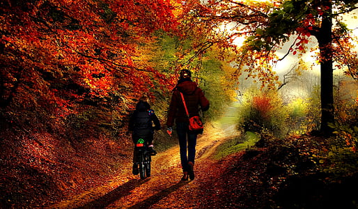 person walking on pathway thumbnail