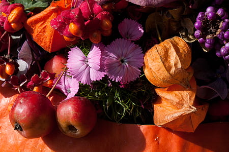 two red apples beside pink flowers thumbnail