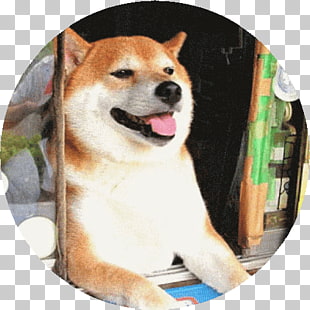 Page 2 128 Akita Inu Png Cliparts For Free Download Uihere