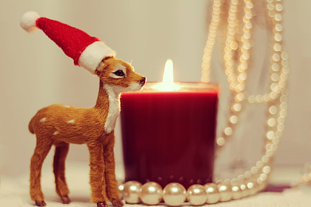 deer in red and white hat beside red lighted candle white beaded necklace photography thumbnail