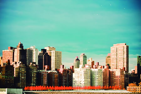 photo of high-rise buildings thumbnail