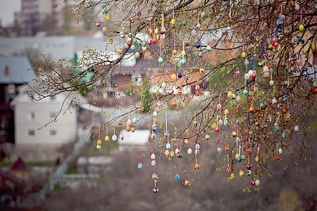 selective focus photography of tree hanging decors thumbnail