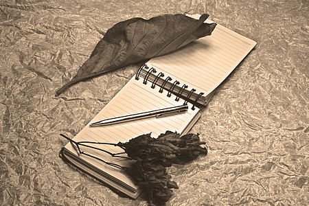 pen on notebook thumbnail