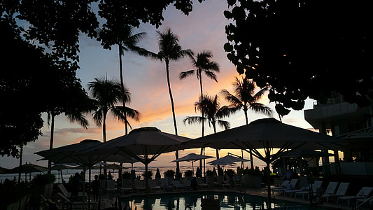 silhouette of parasols near body of water thumbnail