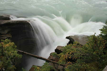 Green Trees Near the Waterfall thumbnail