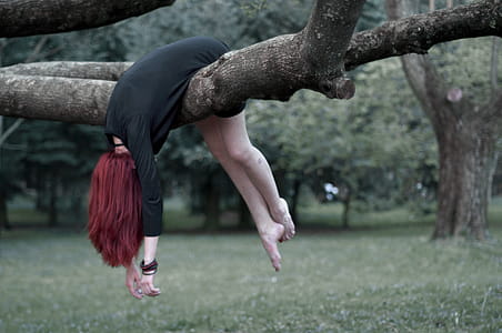 Woman Hanging on Tree Branch Outdoors thumbnail