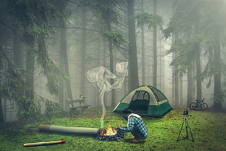 artwork of man camping in forest thumbnail