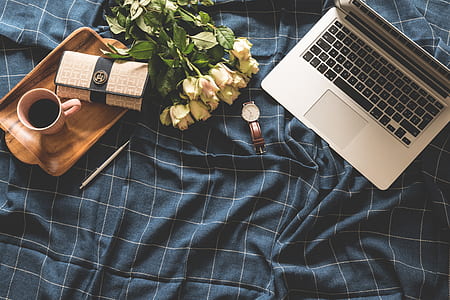 coffee, flowers, blue, laptop thumbnail
