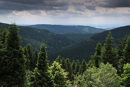 mountain with green trees thumbnail