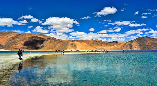 person walking on pathway beside body of water during daytime thumbnail