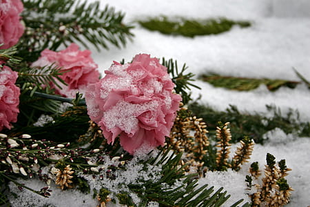 green Christmas tree thumbnail