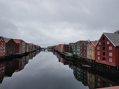 brown, green, and red houses thumbnail