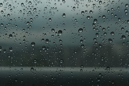 selective focus photography of raindrops thumbnail