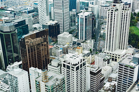 birds eye view photo of buildings thumbnail