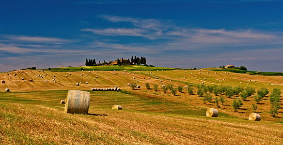 nature, field, countryside, agriculture thumbnail