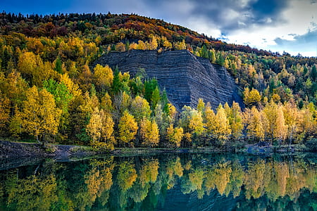 green and yellow trees and body of water during daytime thumbnail