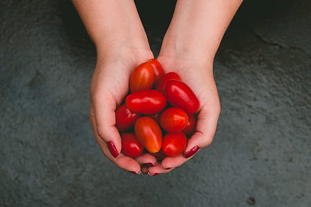 handful of red tomatoes thumbnail
